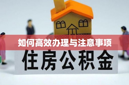 孟津如何高效办理与注意事项