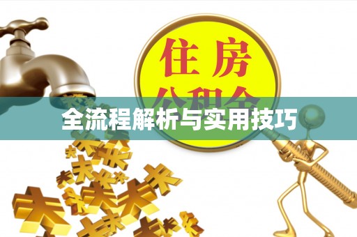 孟津全流程解析与实用技巧