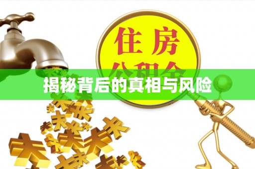 孟津揭秘背后的真相与风险
