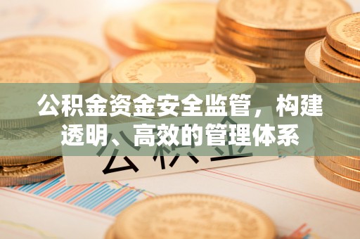 孟津公积金资金安全监管，构建透明、高效的管理体系