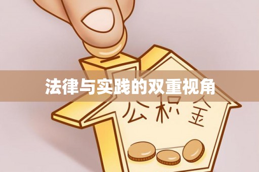 孟津法律与实践的双重视角