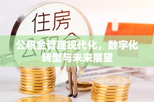 孟津公积金管理现代化，数字化转型与未来展望