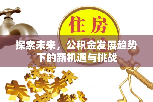 孟津探索未来，公积金发展趋势下的新机遇与挑战