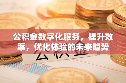孟津公积金数字化服务，提升效率，优化体验的未来趋势