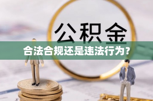 孟津合法合规还是违法行为？