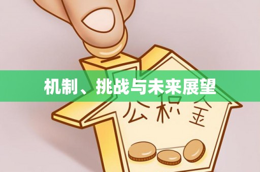 孟津机制、挑战与未来展望