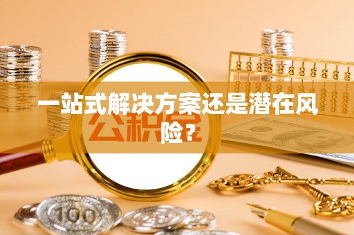 孟津一站式解决方案还是潜在风险？